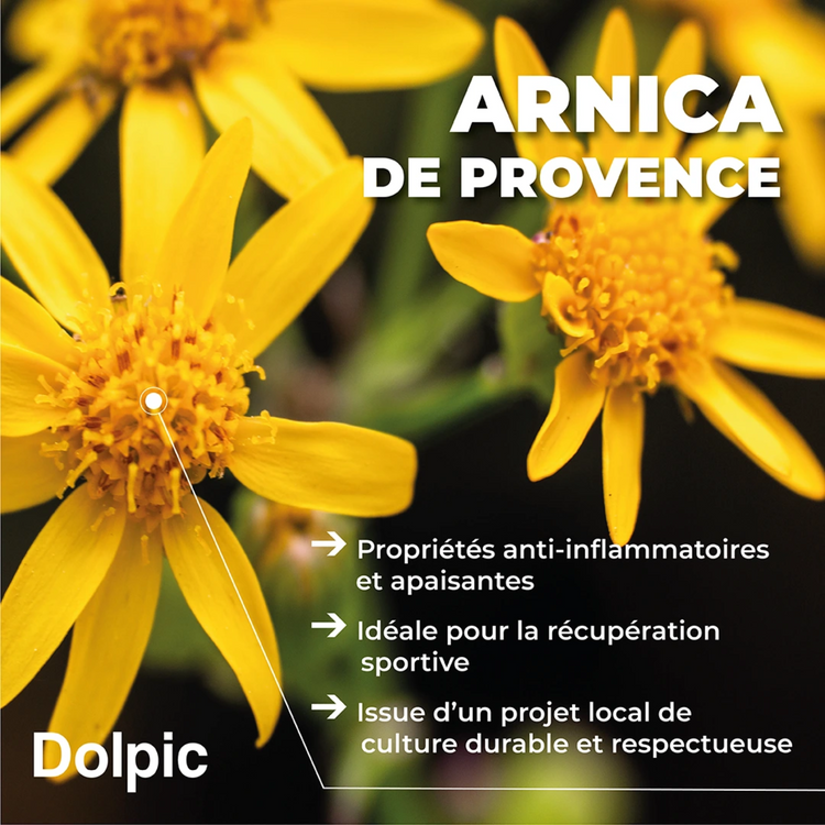 Huile de massage - 100 ml - Dolpic Dolpic 