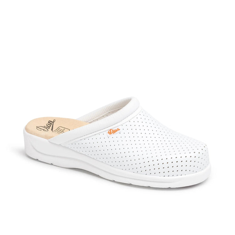 Pisa - Non-slip work clog - Several Colors - Dian - My Médical